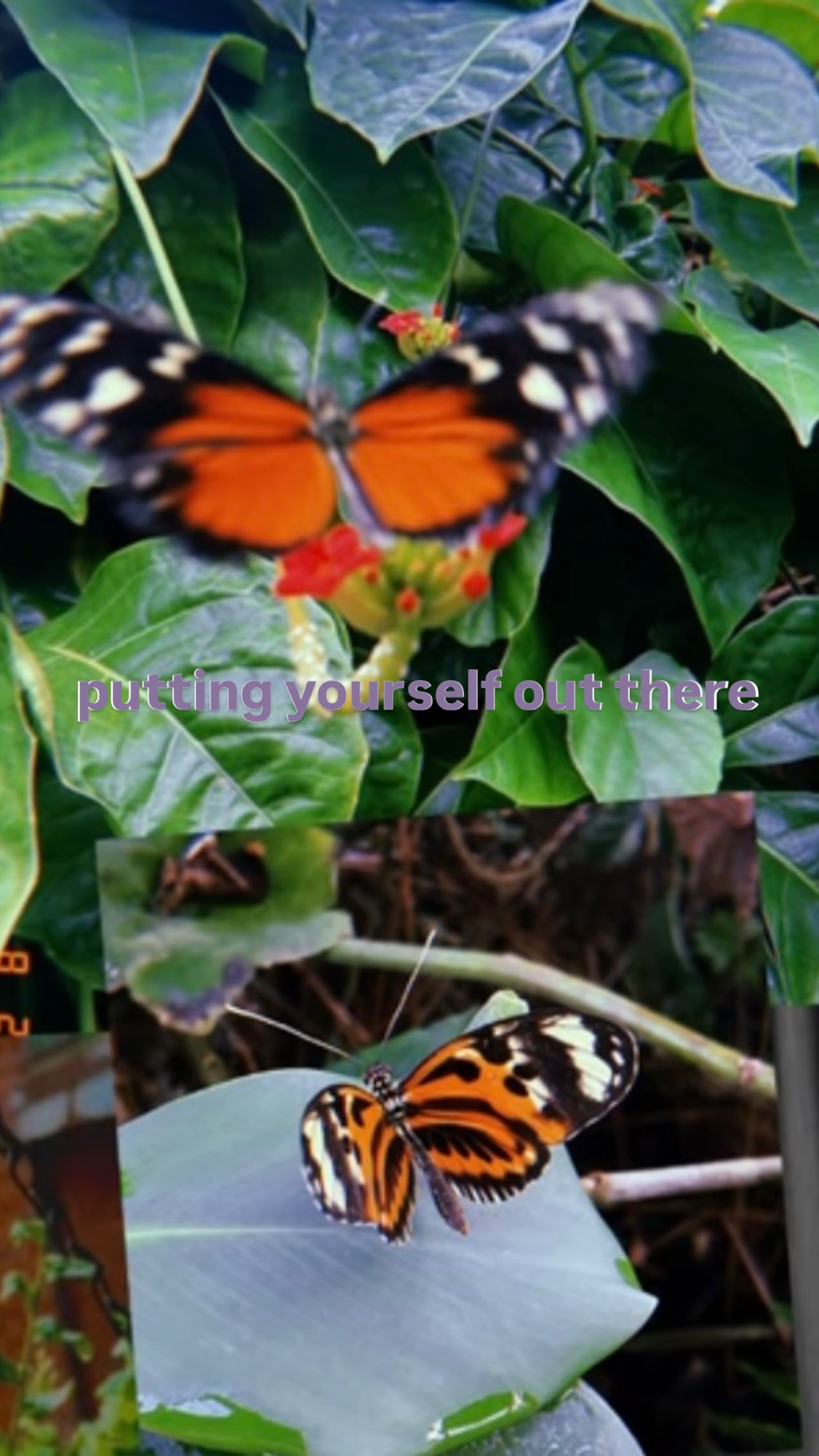 Putting Yourself Out There