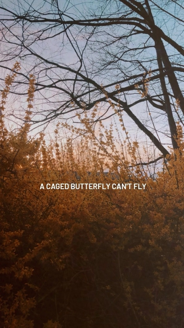 Finding Balance: The Importance of Being Selfish