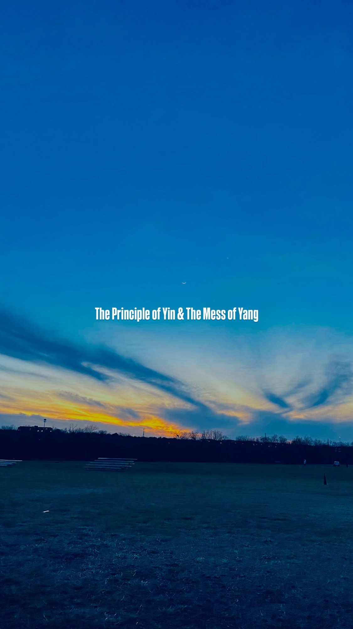 Embracing Life’s Contradictions: Finding Balance in Struggles