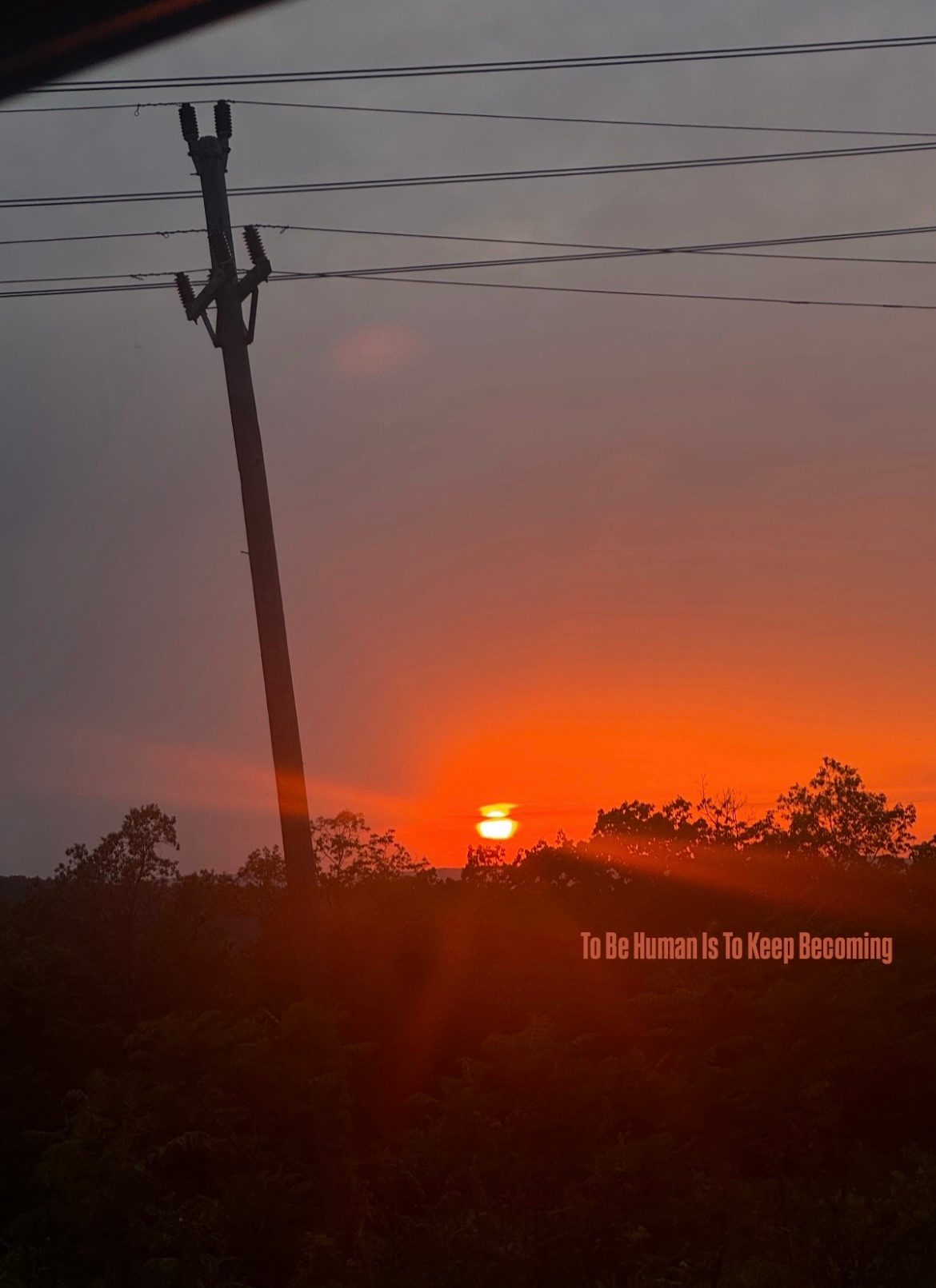 Life’s Mosaic: Embracing Impertance