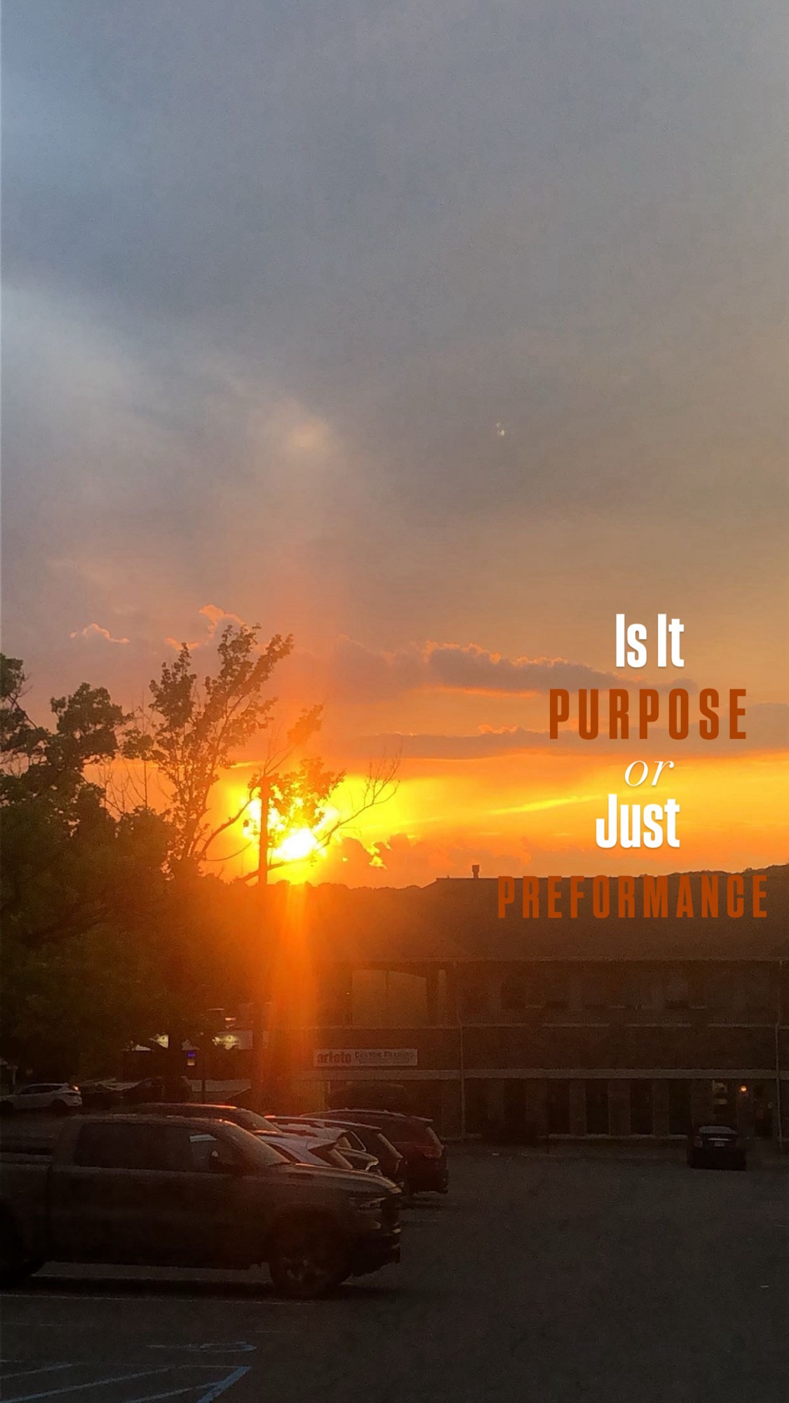 Is It Purpose, or Just Performance?