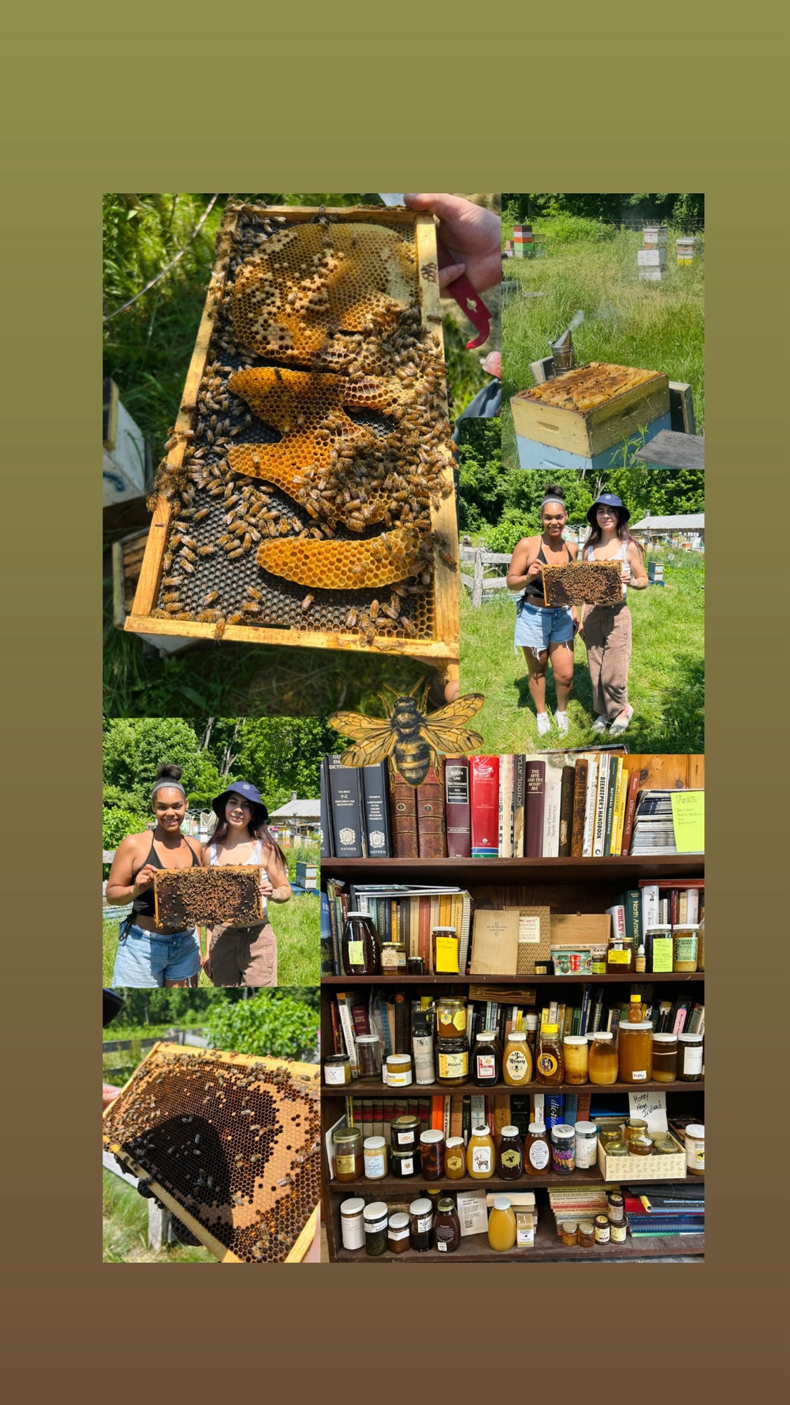 Bees, Honey, & Healing: A Mini Adventure