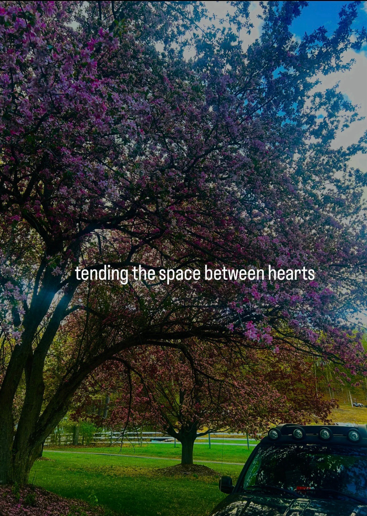 The Ache for Real Love: Why Craving Intimacy Is Human