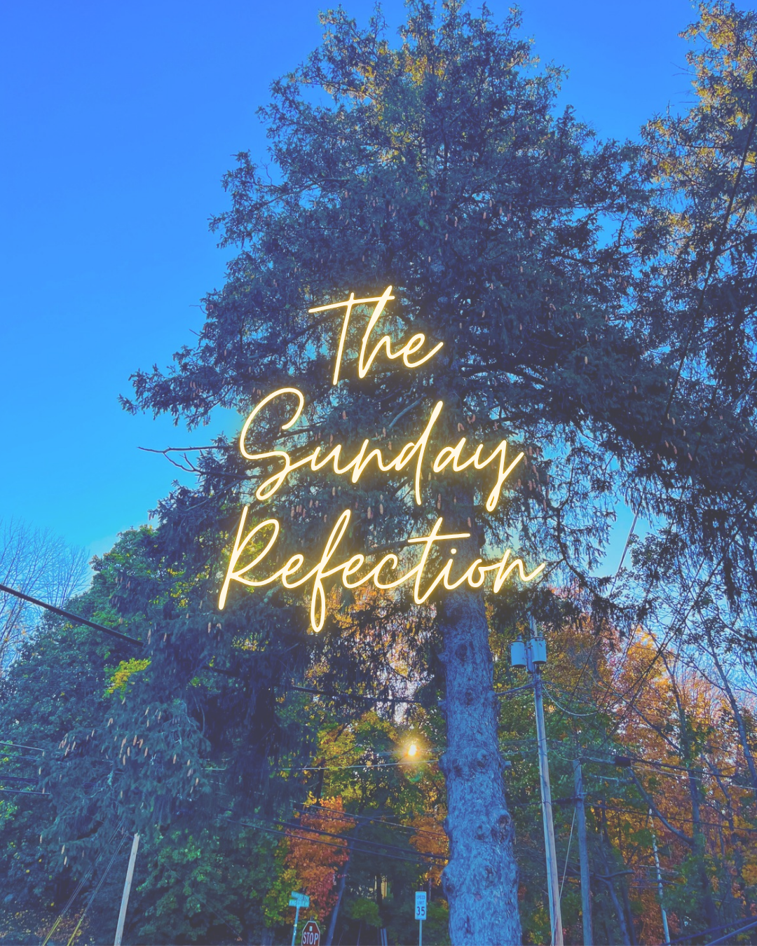 How God Used the Same Lesson Twice to Show Me My Own Strength