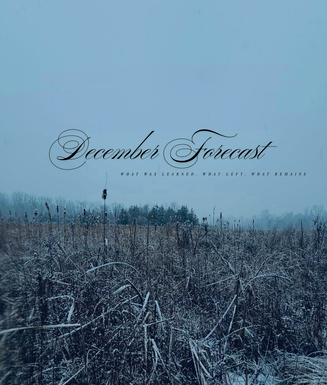 This Place Called Clarity