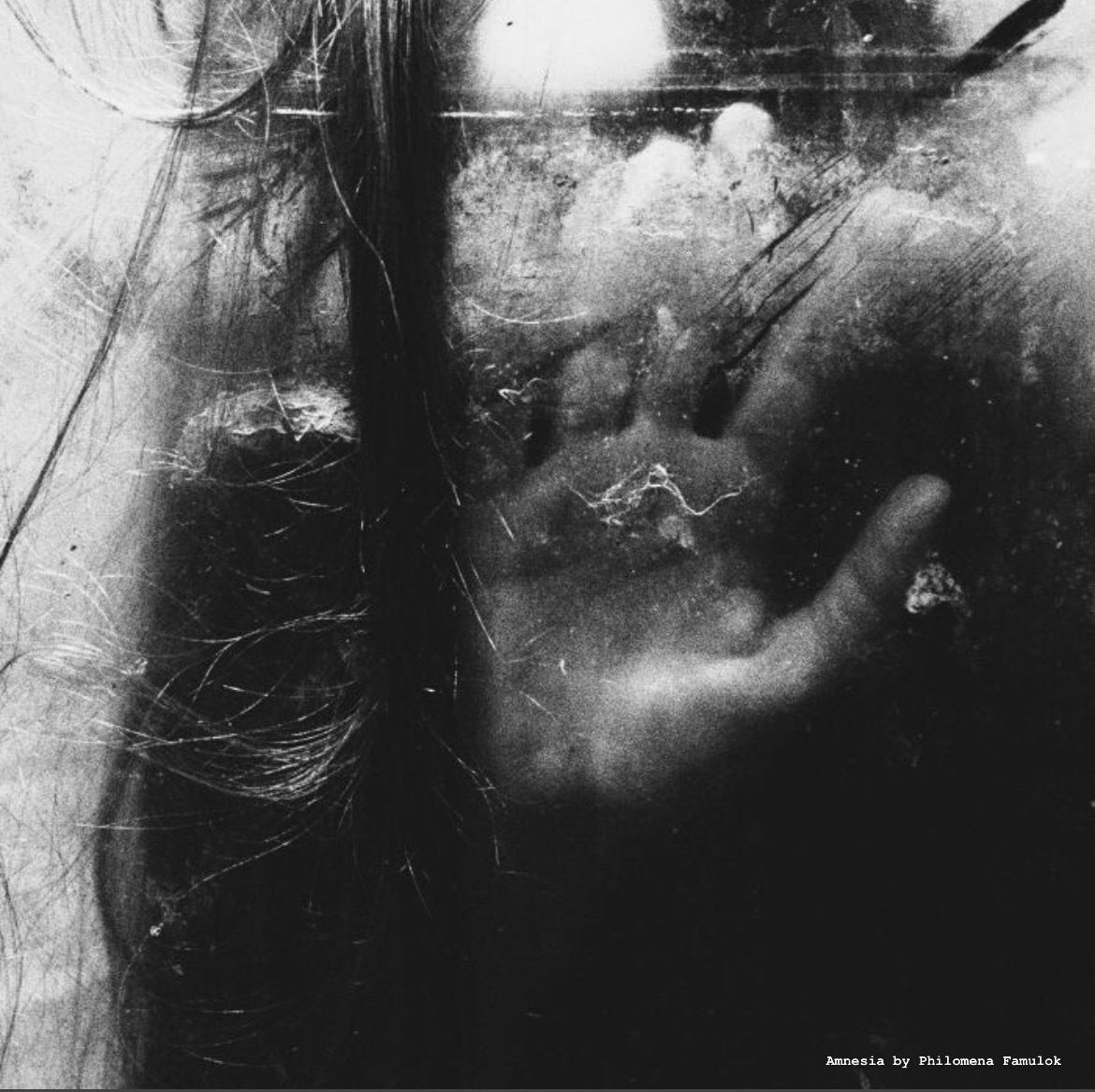 Truth in the Age of Amnesia: The Epstein Files and the Collapse of Consequence